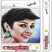دانلود آهنگ دو پرنده آلبوم | متن و کیفیت عالی دانلود آهنگ دو پرنده آلبوم | متن و کیفیت عالی