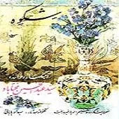 دانلود آهنگ عبدالحسین مختاباد تصنیف شکوه دانلود آهنگ عبدالحسین مختاباد تصنیف شکوه