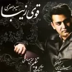 دانلود آهنگ سعید جعفری با تو رفتم (بی کلام)