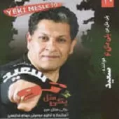 دانلود آهنگ سعید خوانساری بی تو
