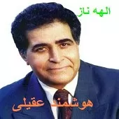 دانلود آهنگ هوشمند عقیلی آه نیومد