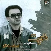 دانلود آهنگ سعید پورسعید اصفهانی نوازشم کن