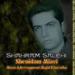 دانلود آهنگ شهرام صالحی یه روز مهم بود