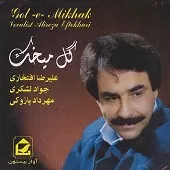 دانلود آهنگ علیرضا افتخاری لاله صحرایی