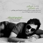 دانلود آهنگ بهنام شهبازی نیش.ناش