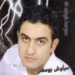 دانلود آهنگ سیاوش یوسفی نگو نه