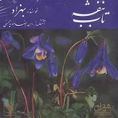 دانلود آهنگ بهزاد تاب بنفشه دانلود آهنگ بهزاد تاب بنفشه
