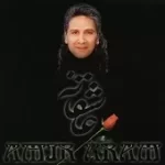 دانلود آهنگ امیر آرام فقط تو