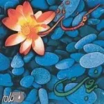 دانلود آهنگ نادر گلچین نوای کاروان دانلود آهنگ نادر گلچین نوای کاروان