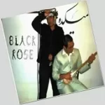 دانلود آهنگ گروه Black Rose نقاشی دانلود آهنگ گروه Black Rose نقاشی