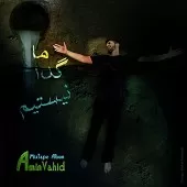 دانلود آهنگ امین وحید ما گدا نیستیم