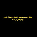 دانلود اهنگ زیرو رو کردم خیابونارو دنبالت عزیزم ریمیکس اینستا